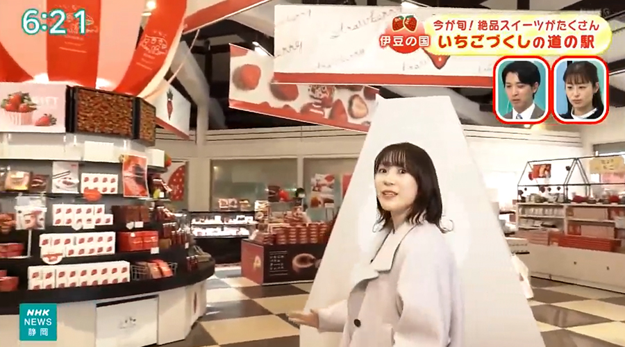 NHK静岡「たっぷり静岡」